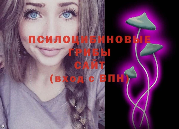 круглые Абаза