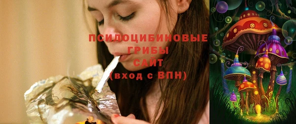 круглые Абаза
