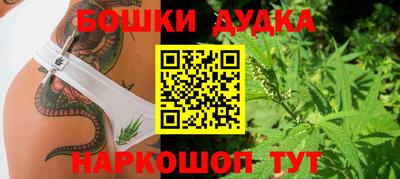 сатива Краснодар