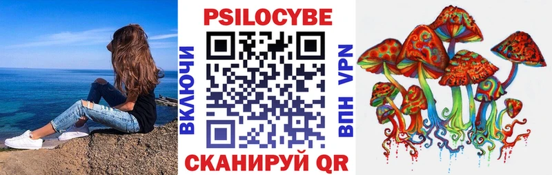 Галлюциногенные грибы Psilocybe  Златоуст 
