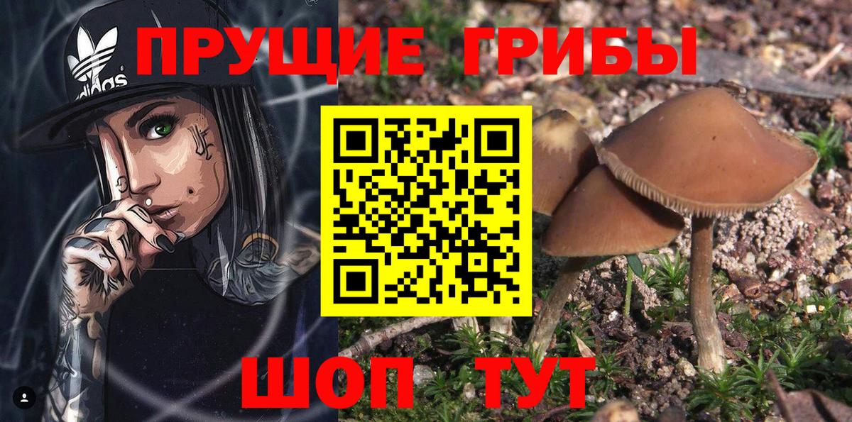 Псилоцибиновые грибы MAGIC MUSHROOMS Златоуст