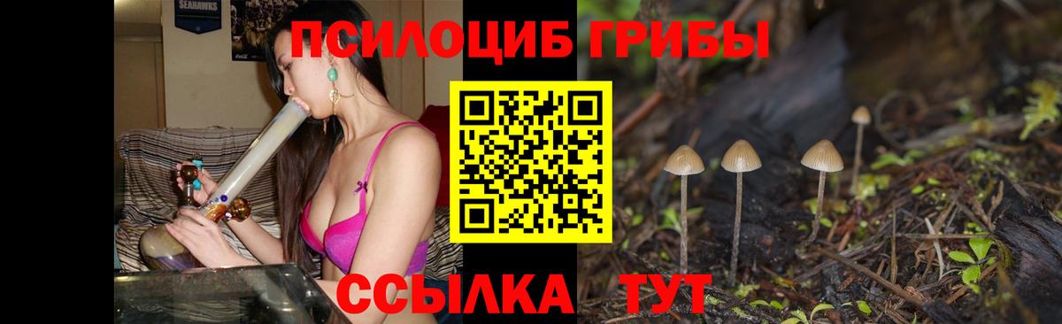 Каннабис  Каннабис  Вход с VPN  Alpha-PVP СК   Златоуст  Меф МЯУ МЯУ   Кокаин  Гашиш  LSD-25 